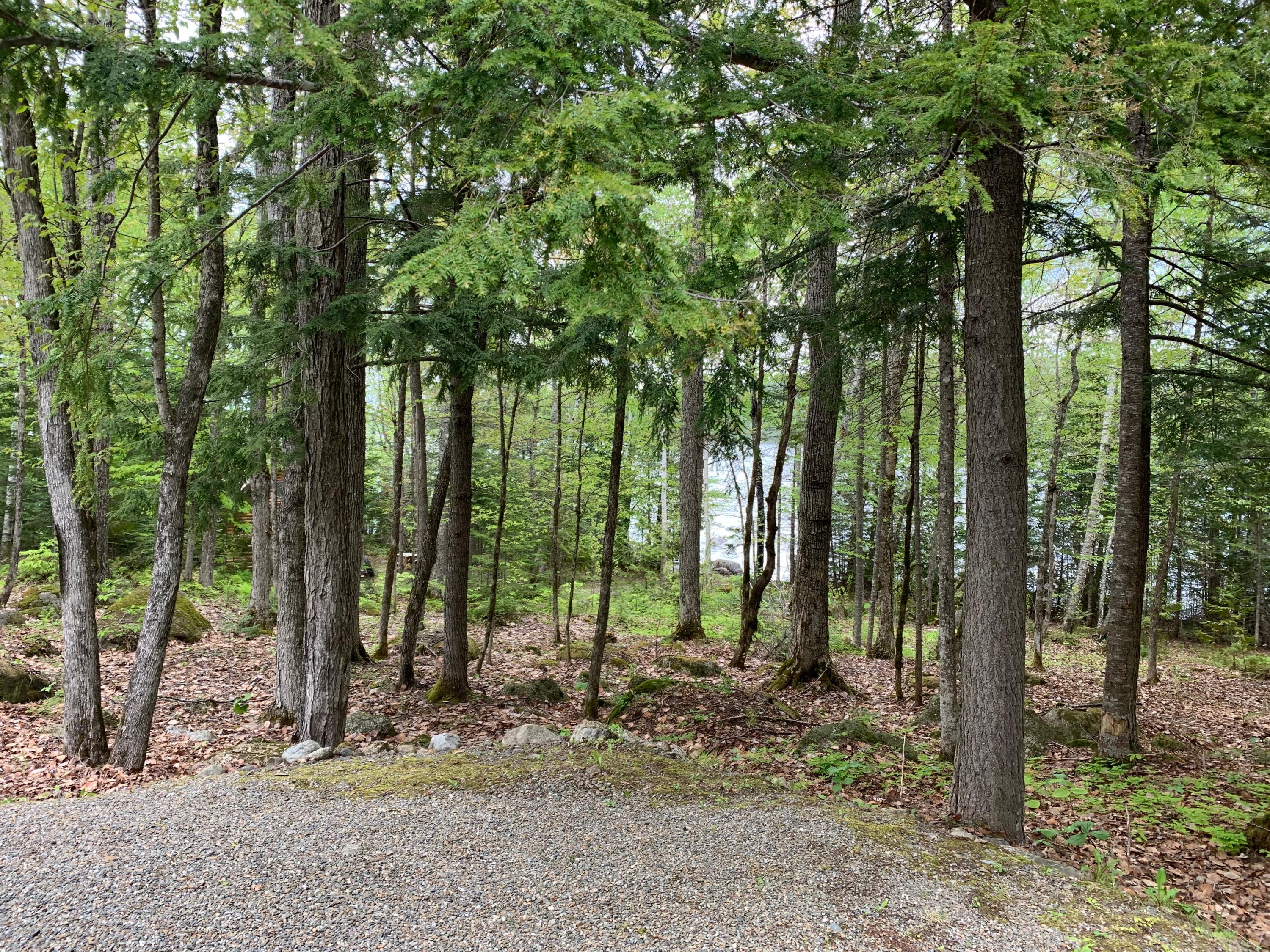 397 Spednic Road Brookton, ME 04413 - Photo 30 of 34 IMG-7530