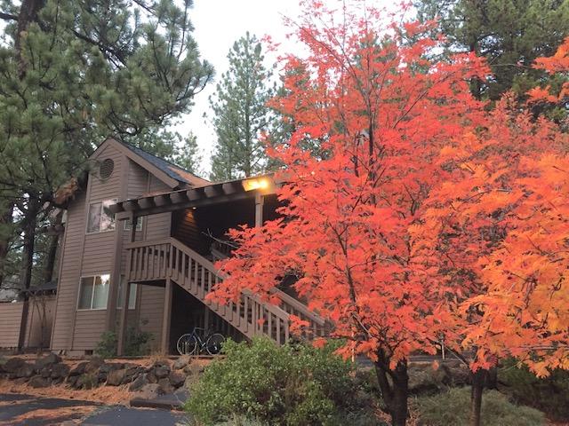 57327-6 Beaver Ridge Loop Sunriver, OR 97707 - Photo 3 of 20 3-tree-R6