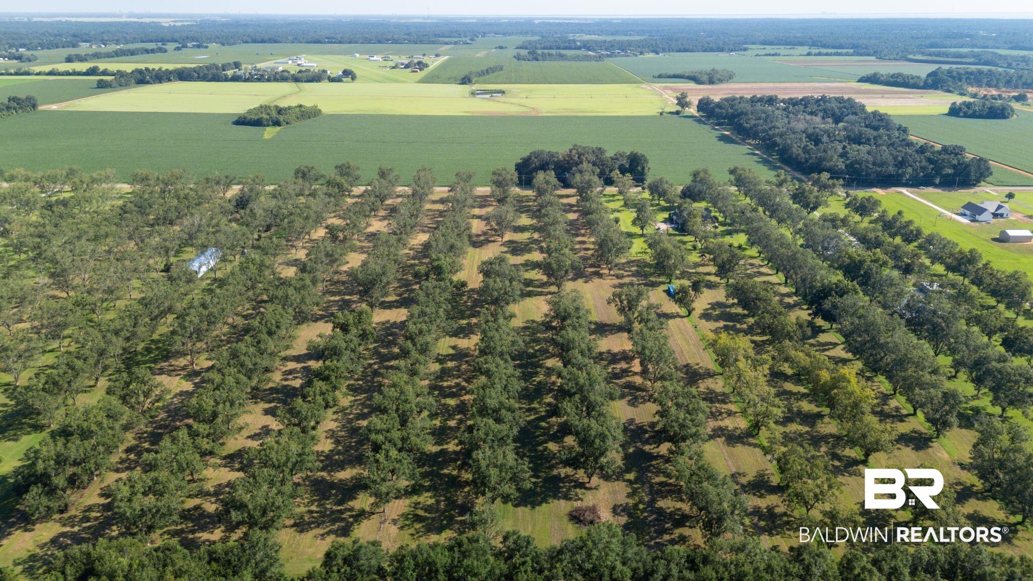 14141 Underwood Road Summerdale, AL 36580 - Photo 2 of 4 Aerial view of sparsely populated area featuring farmland