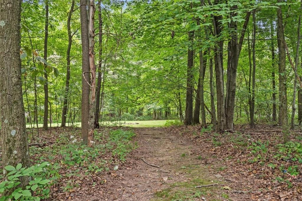 0 Grange Road Beaver Falls, PA 15010 - Photo 10 of 50 a view of outdoor space and trees