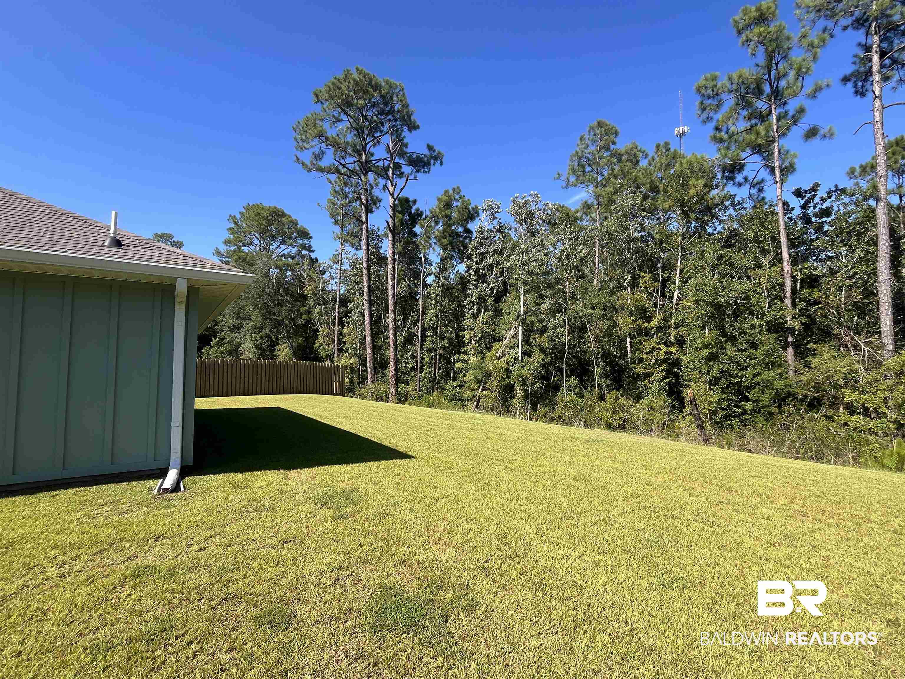 8891 Summer Bay Lane Foley, AL 36535 - Photo 4 of 54 Large Lot w/ Forest Back-drop