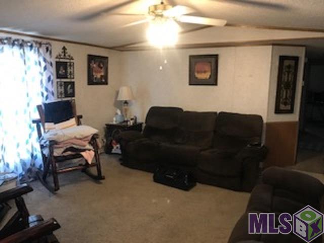 14190 Ceazer Road Gonzales, LA 70737 - Photo 3 of 14 Gallery Image 3
