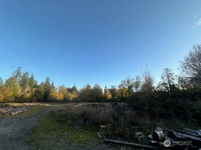 a view of a yard with trees in the background