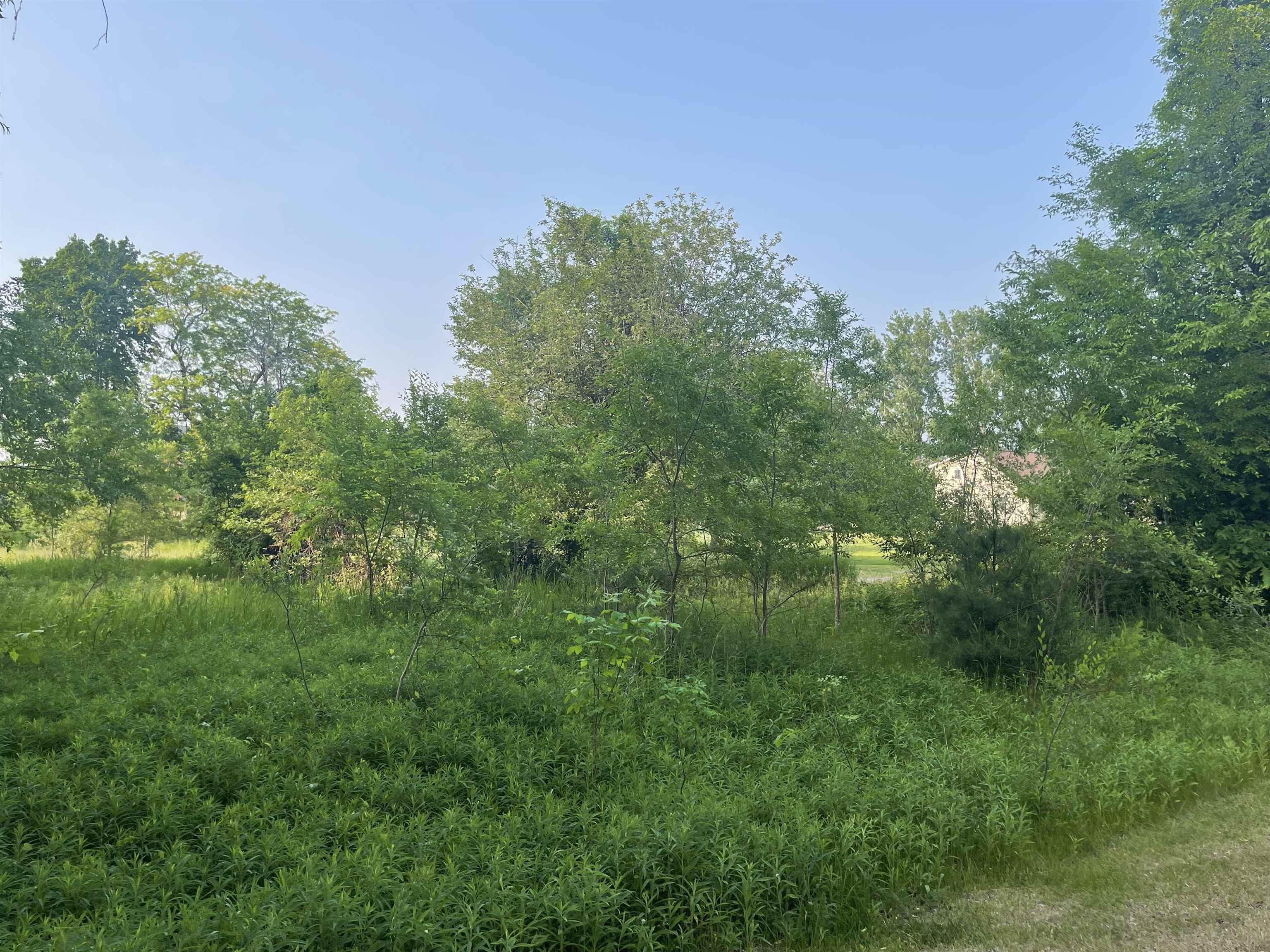 1310 Wyatt Road Standish, MI 48658 - Photo 89 of 98