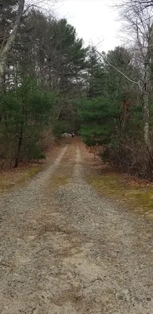 a view of a pathway with a yard