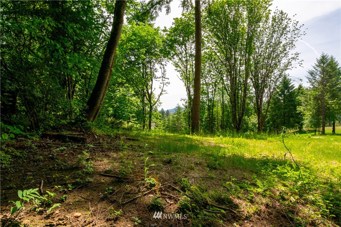 0 Raptor Ridge Woodland, WA 98674 - Photo 22 of 28 Gallery Image 22