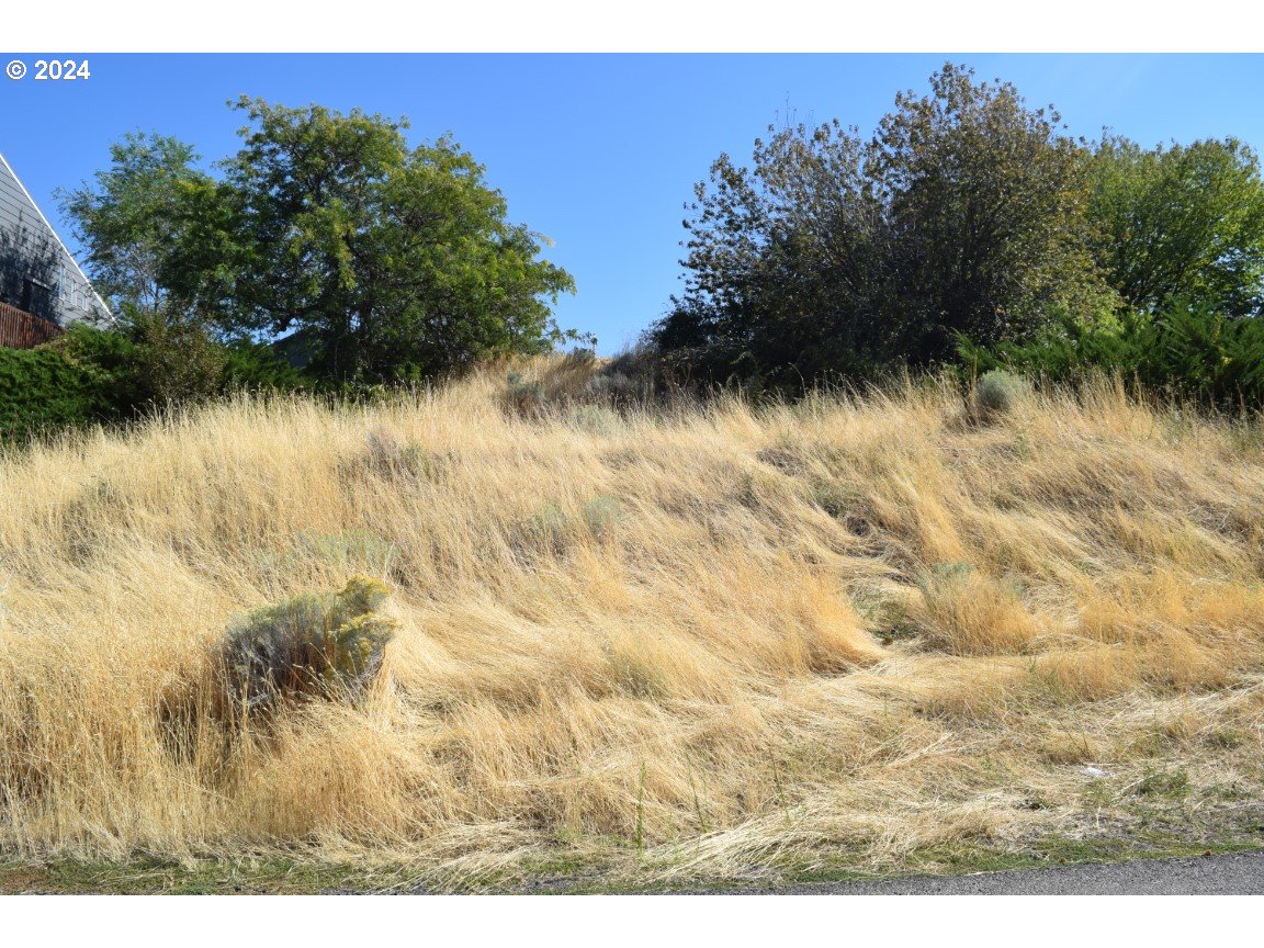 27 Southeast Kirk Place Pendleton, OR 97801 - Photo 4 of 5