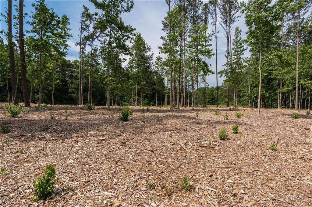 2 Pope Road Buchanan, GA 30113 - Photo 14 of 16 a backyard of a house with trees