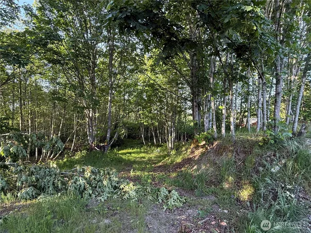 a big yard with lots of green space and deers