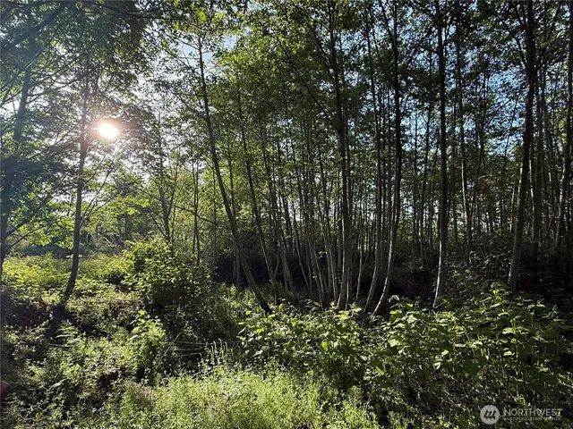 a view of backyard with green space