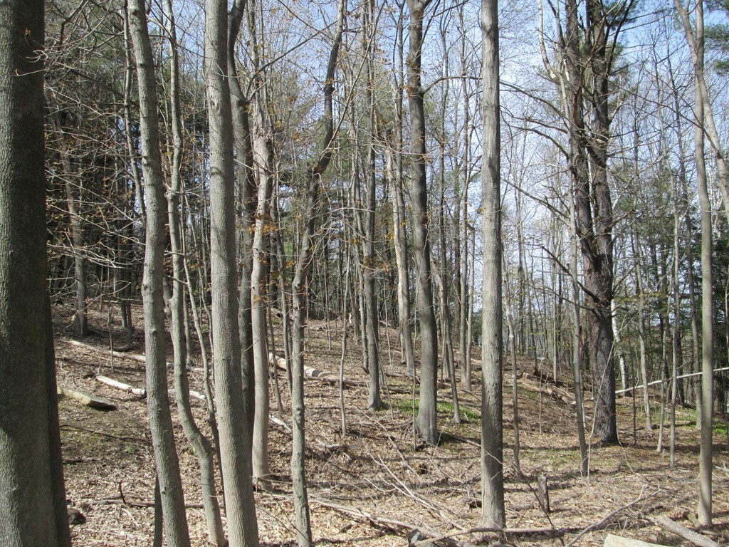 Lot State Lot State Road Westminster, MA 01473 - Photo 2 of 3 Gallery Image 2