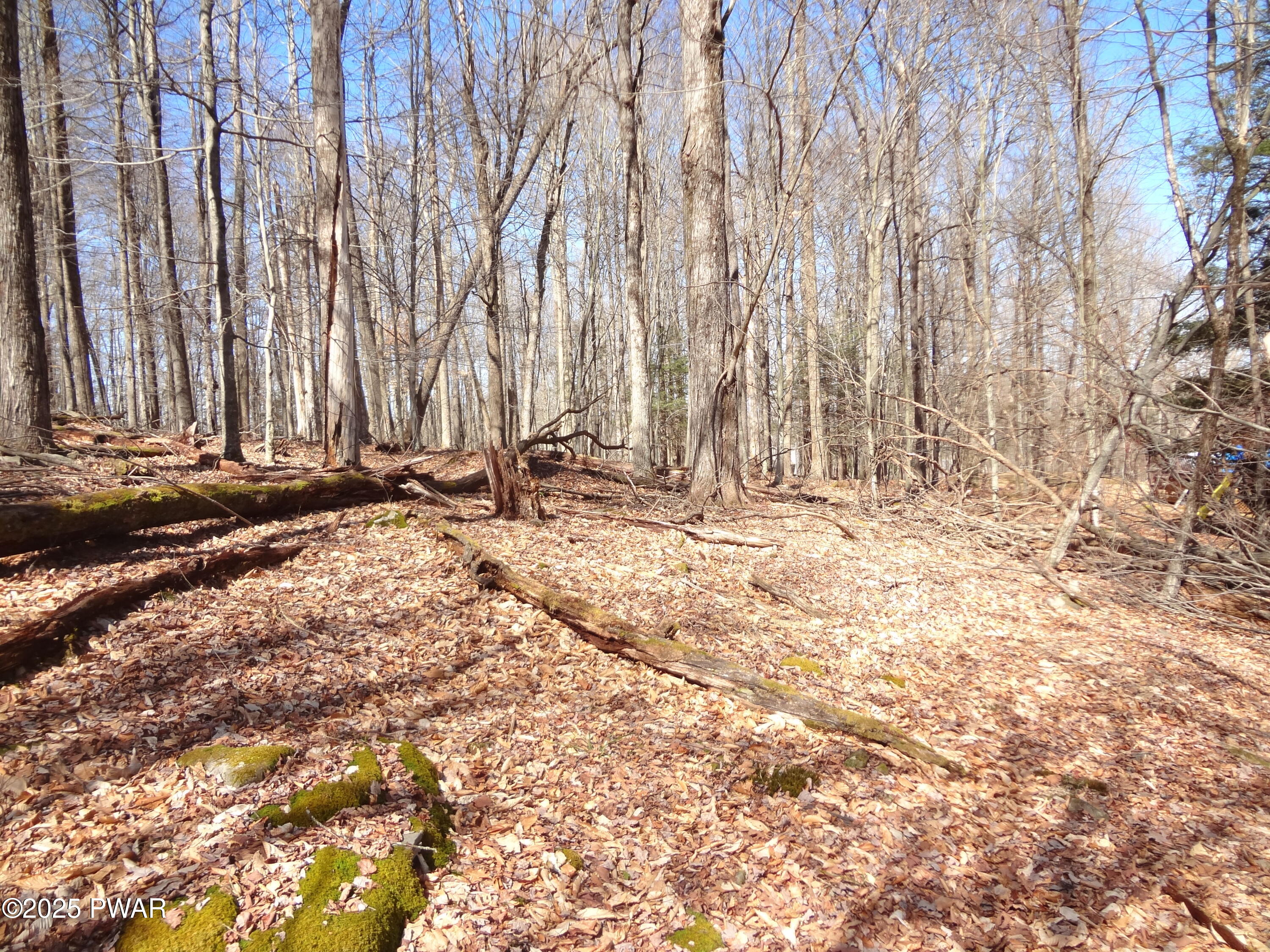 Lot #130 North Knob Road Greentown, PA 18426 - Photo 13 of 15