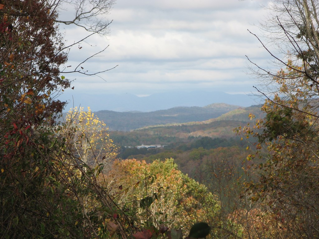 392 Eagles Nest Mountain Road Blue Ridge, GA 30513 - Photo 2 of 51 a view of lake with mountain