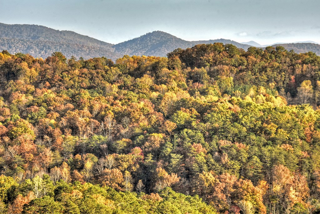 392 Eagles Nest Mountain Road Blue Ridge, GA 30513 - Photo 39 of 51 a view of a mountain range in a lush green field