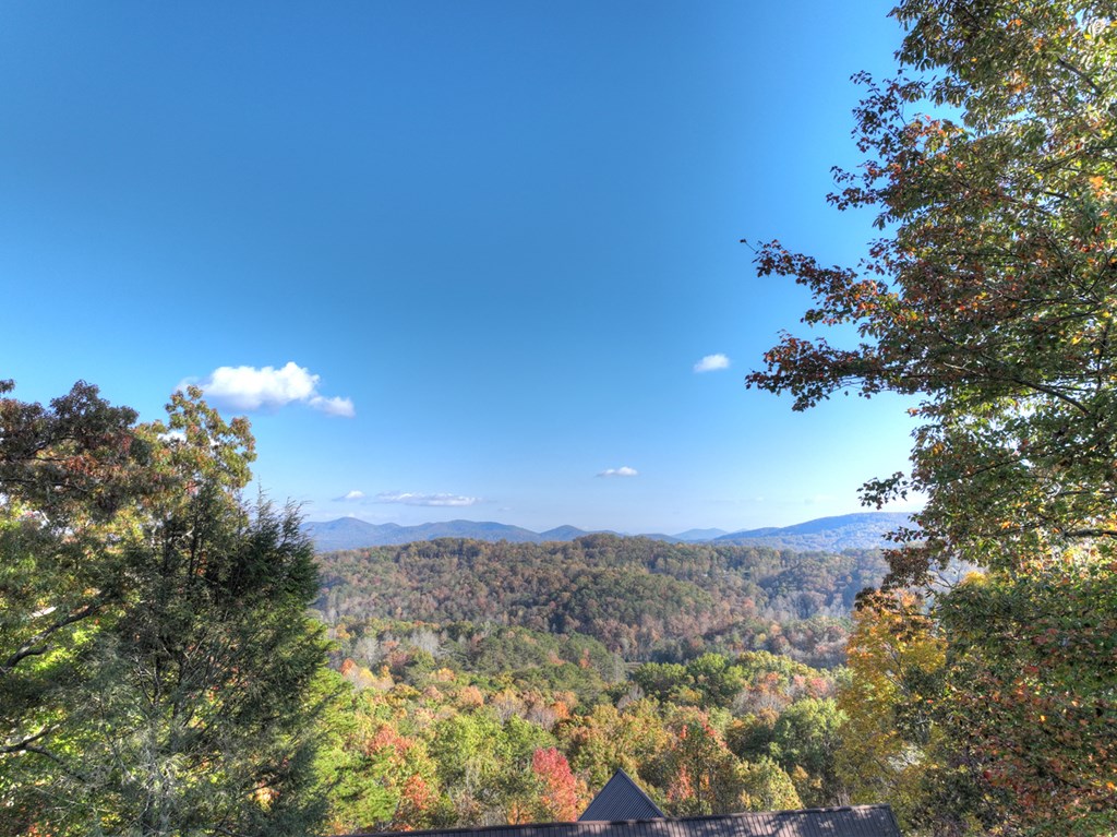 392 Eagles Nest Mountain Road Blue Ridge, GA 30513 - Photo 49 of 51 a view of a yard