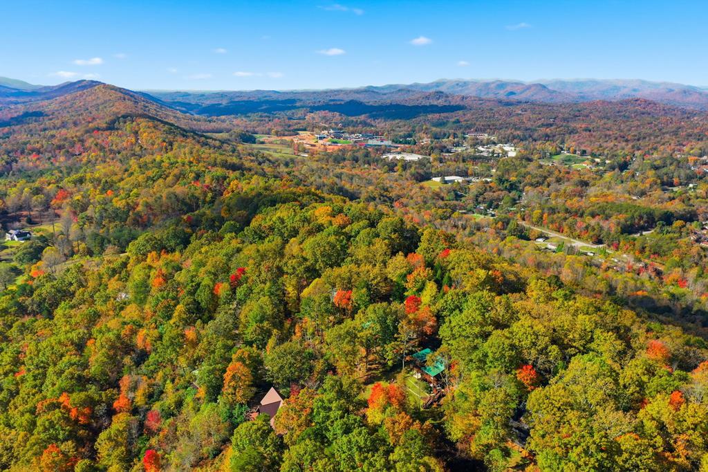392 Eagles Nest Mountain Road Blue Ridge, GA 30513 - Photo 51 of 51 view of city and mountain