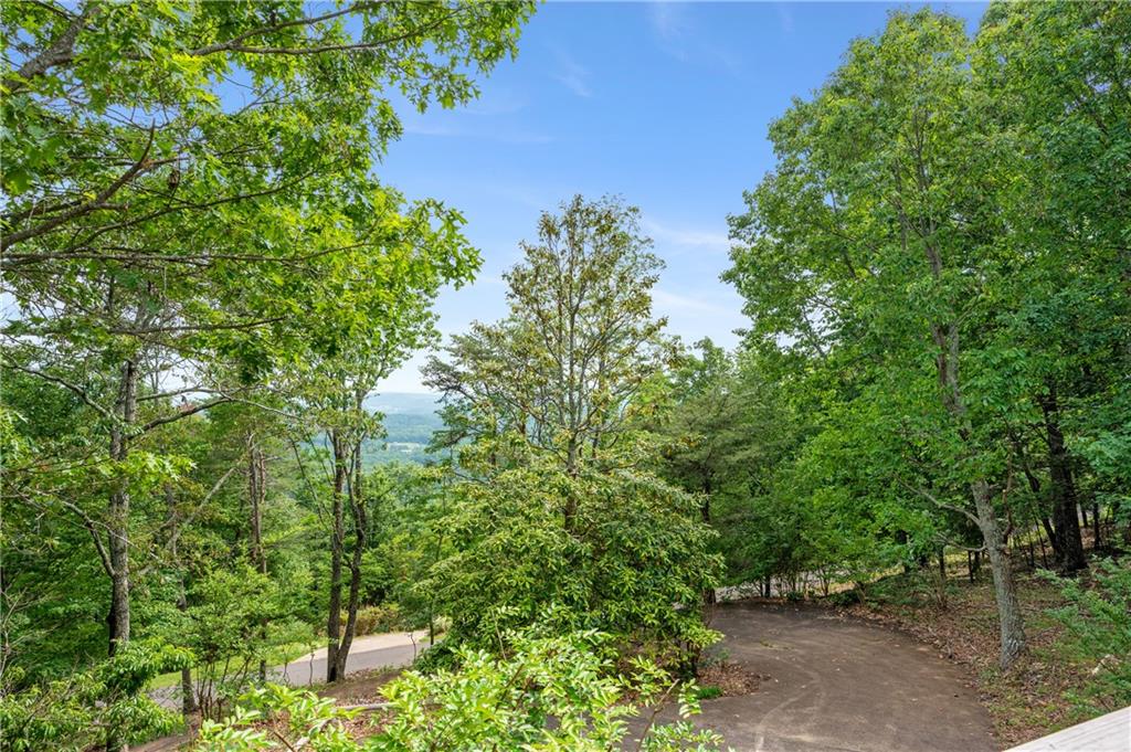 267 Starcross Lane Jasper, GA 30143 - Photo 25 of 46 a view of a garden