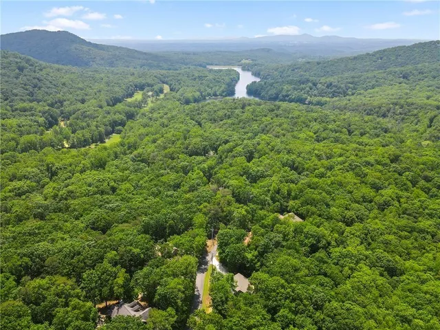 a view of a big yard with lots of bushes