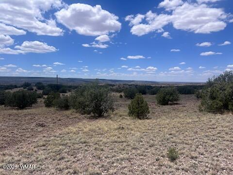 41 Indian Drive Concho, AZ 85924 - Photo 10 of 26 IMG_3675