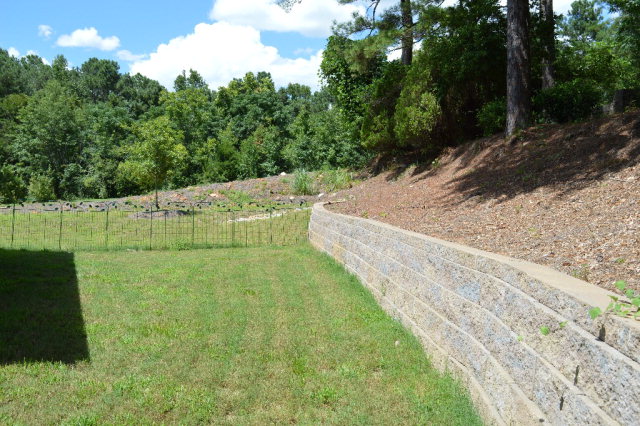 10252 Whitesville Road Fortson, GA 31808 - Photo 3 of 26 Backyard