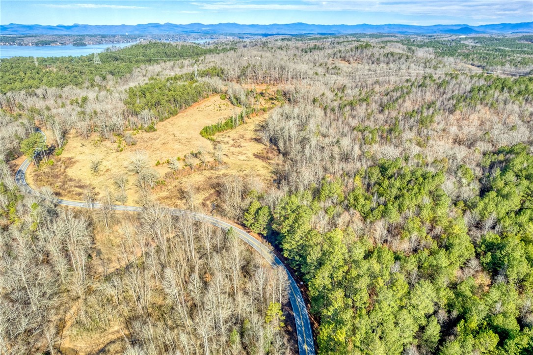 Six Dan Ross Road Six Mile, SC 29682 - Photo 6 of 15