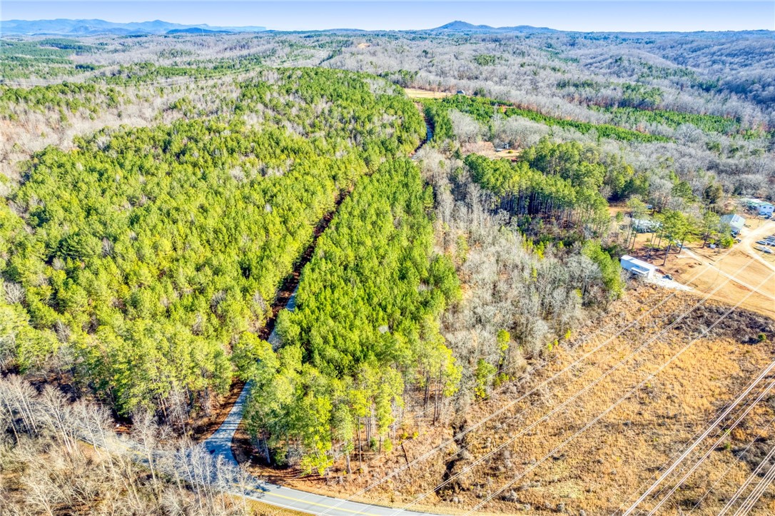 Six Dan Ross Road Six Mile, SC 29682 - Photo 7 of 15