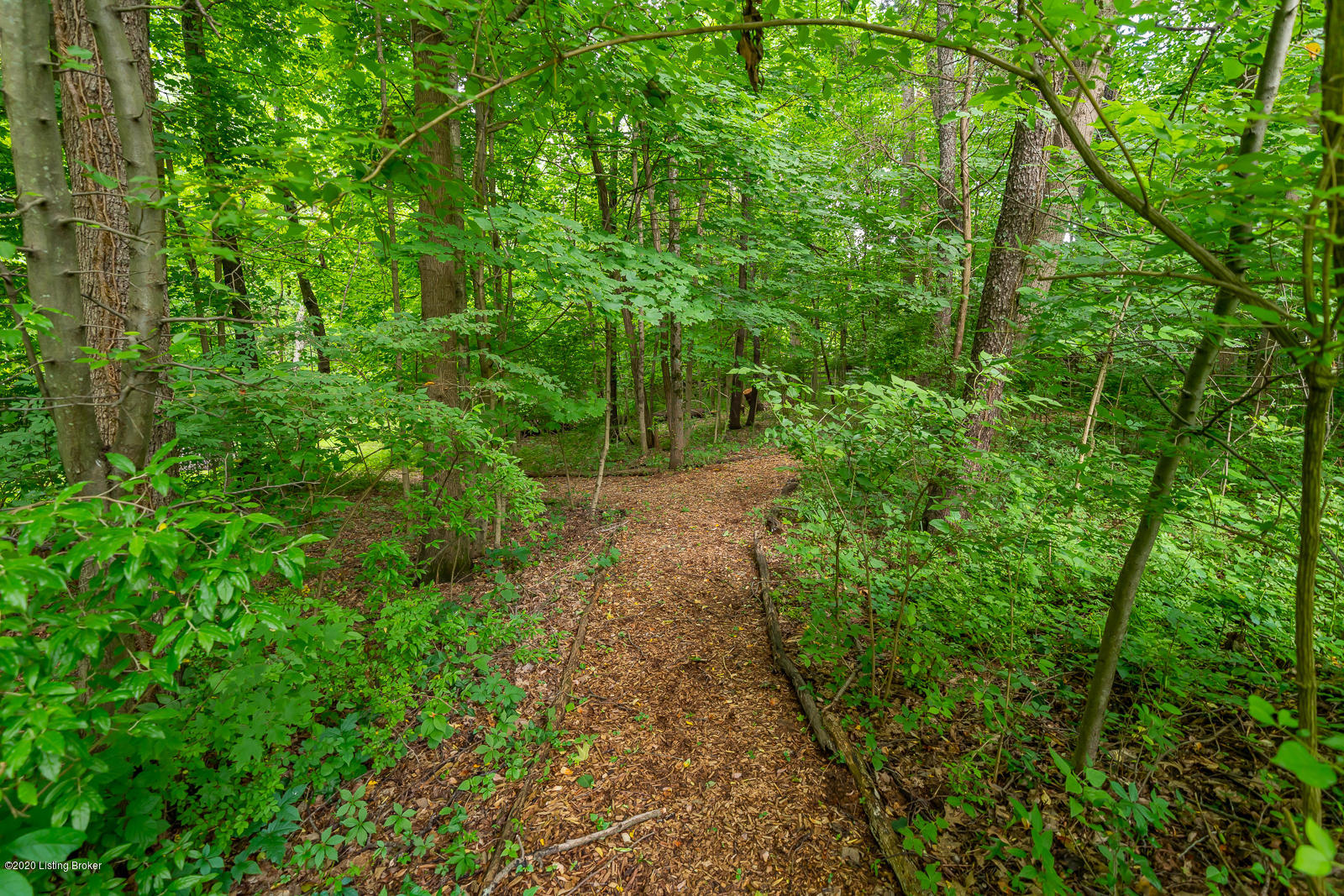 170 Ridgewood Drive Pewee Valley, KY 40056 - Photo 98 of 98 170 Ridgewood Dr PV-19