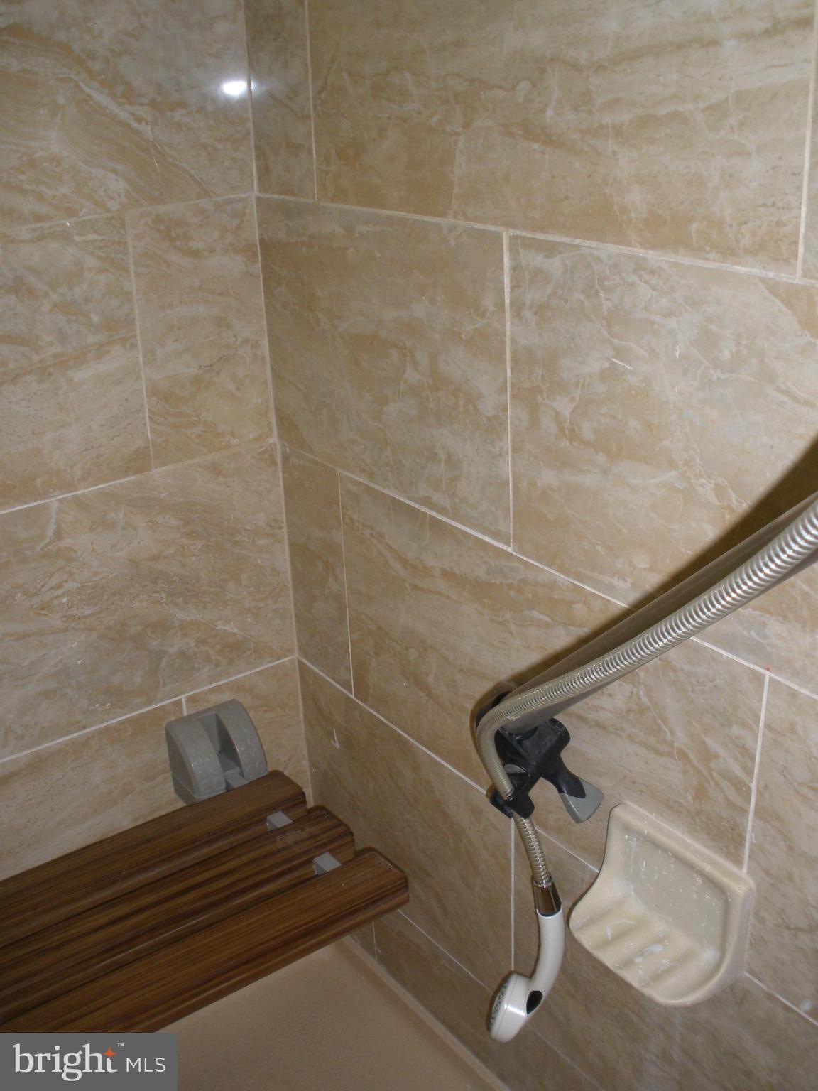 1709 Earhart Road Baltimore, MD 21221 - Photo 11 of 21 Double Size Shower w/Seat