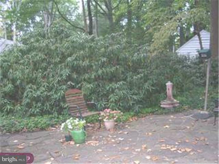 417 Kerr Lane Springfield, PA 19064 - Photo 2 of 19 Back Yard
