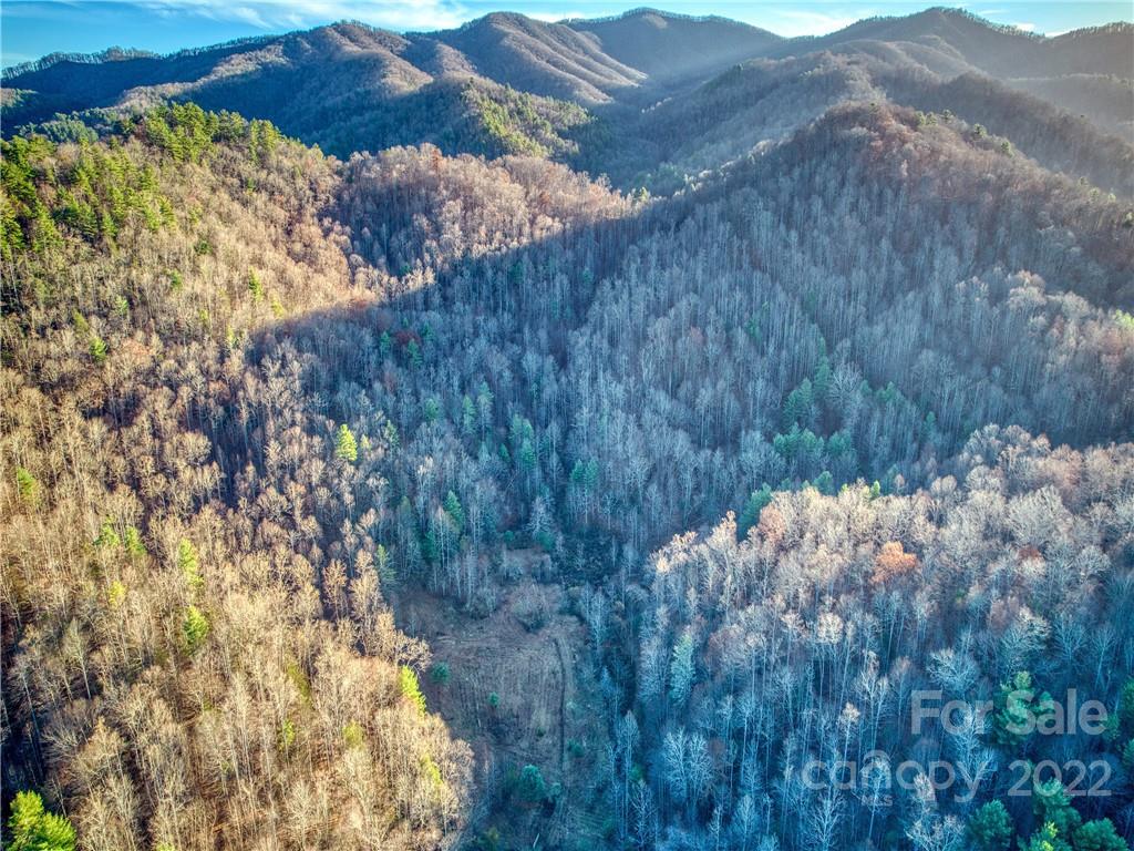 0 White Oak Road Waynesville, NC 28785 - Photo 12 of 14 a view of a yard