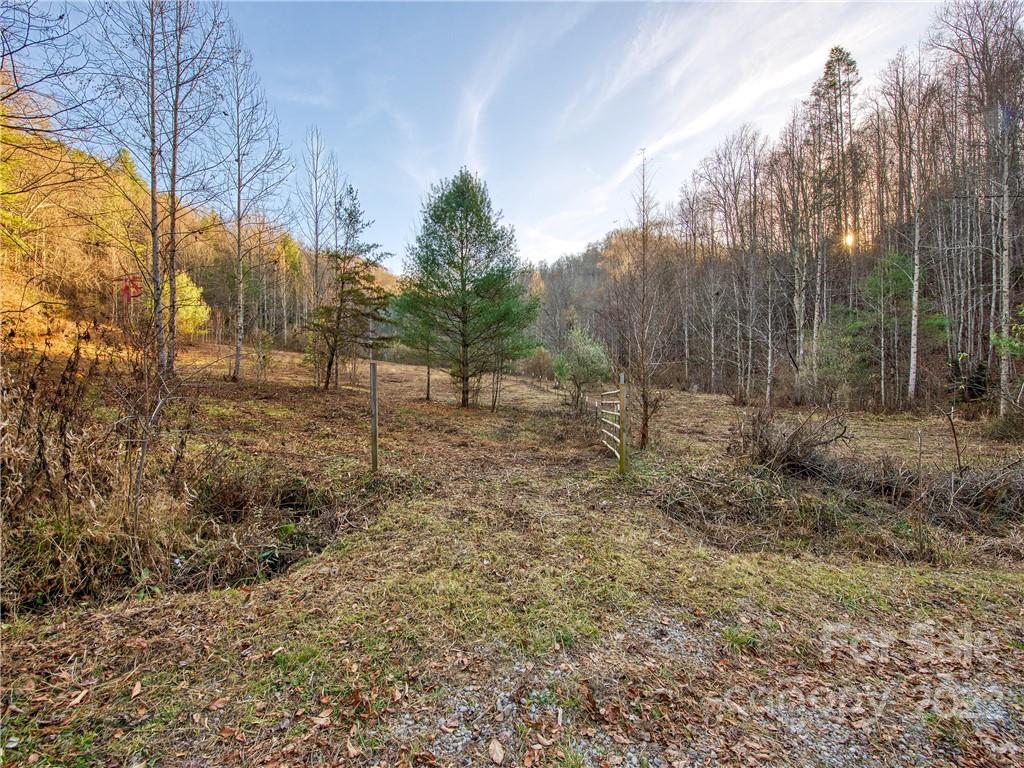 0 White Oak Road Waynesville, NC 28785 - Photo 2 of 14 a view of some trees in the background
