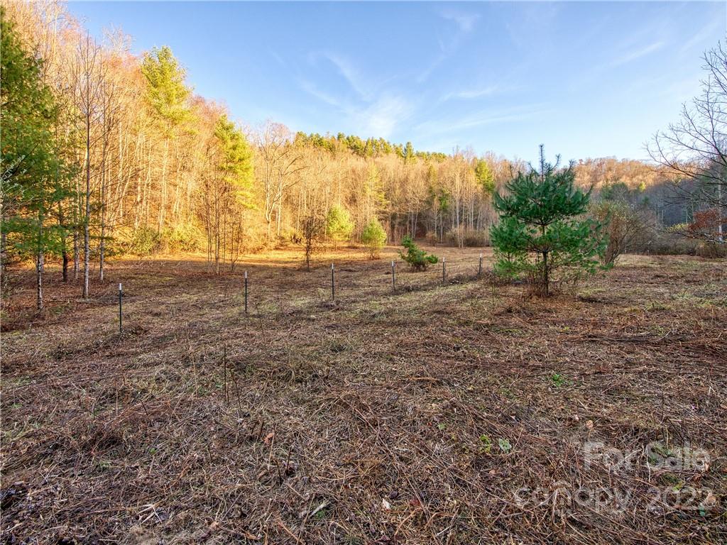 0 White Oak Road Waynesville, NC 28785 - Photo 3 of 14 a view of a field with trees in background
