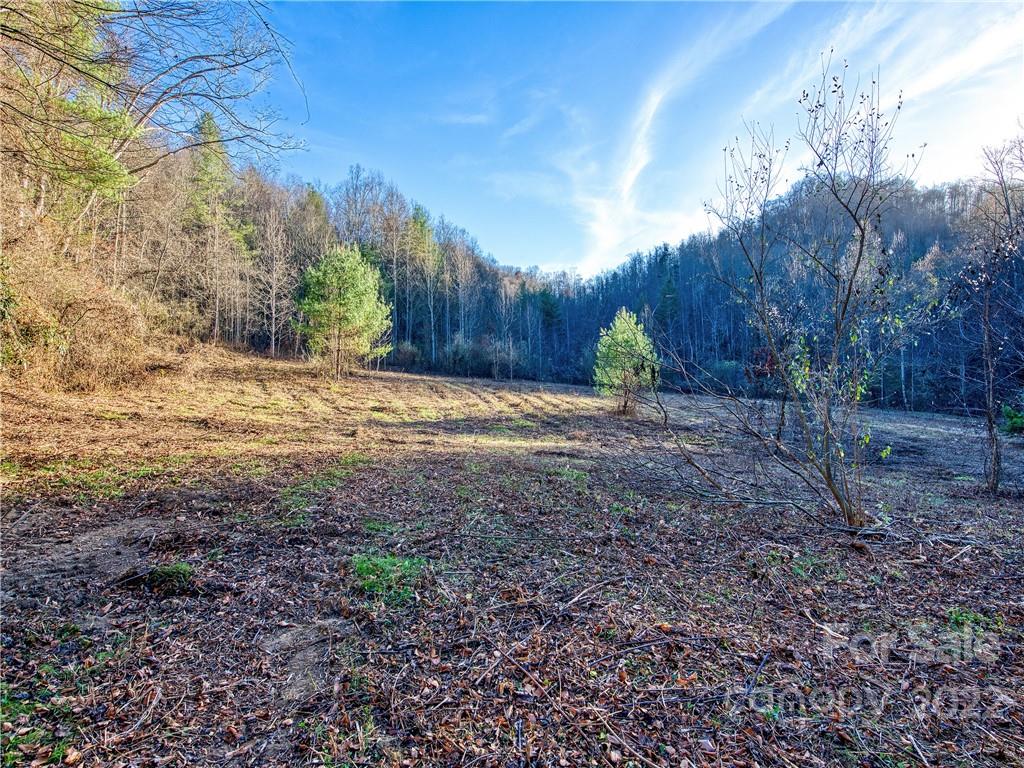 0 White Oak Road Waynesville, NC 28785 - Photo 5 of 14 a view of a backyard with large trees