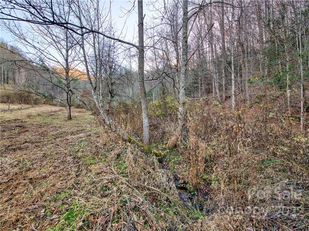 0 White Oak Road Waynesville, NC 28785 - Photo 6 of 14 a backyard of a house with lots of green space