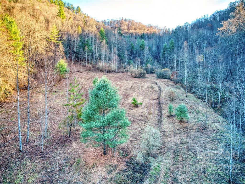 0 White Oak Road Waynesville, NC 28785 - Photo 8 of 14 a big yard with lots of green space