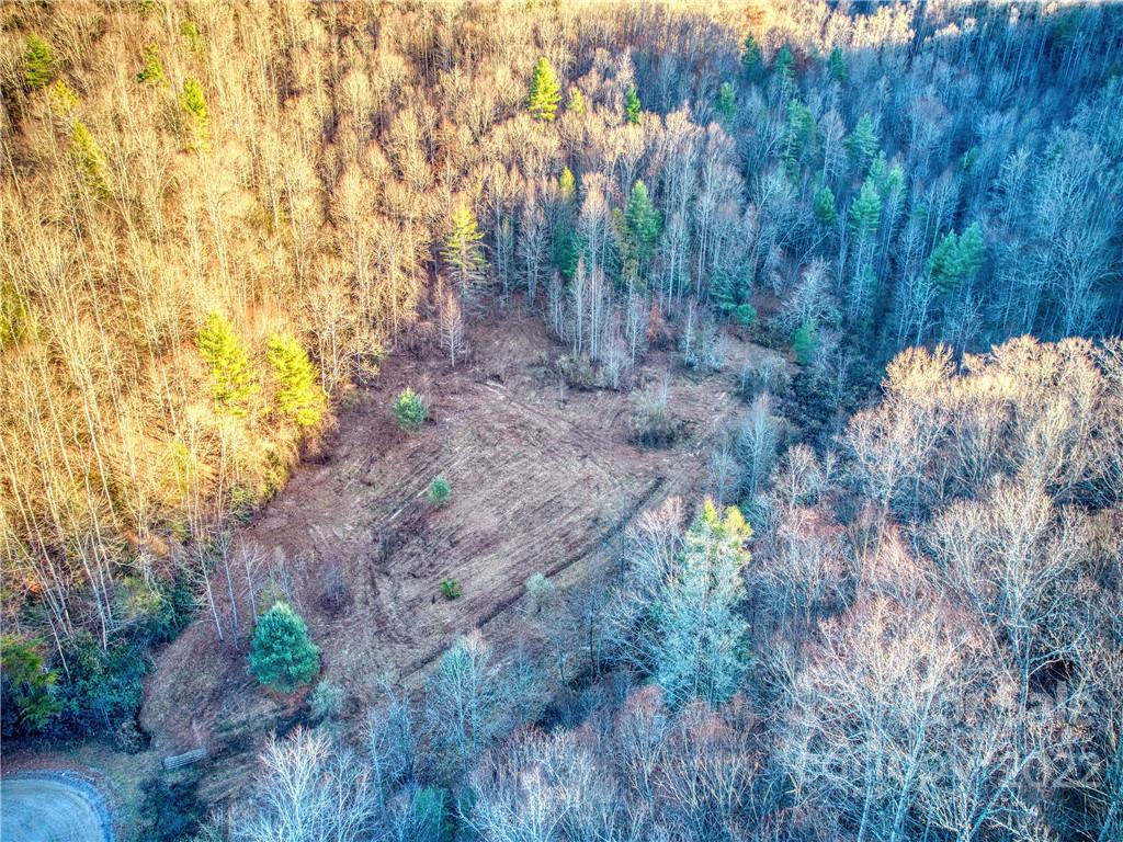 0 White Oak Road Waynesville, NC 28785 - Photo 9 of 14 a view of a yard with trees