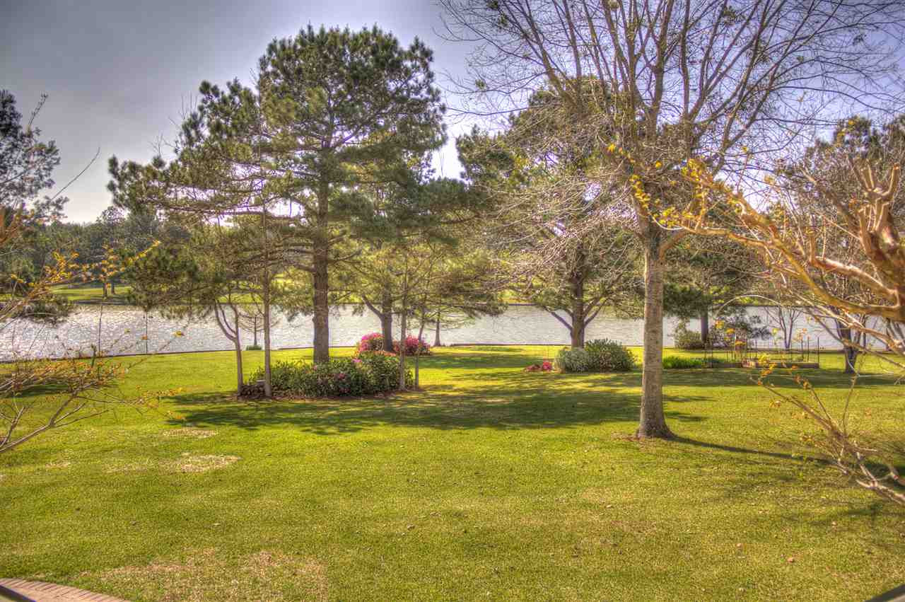 118 Meadow View Lane Flora, MS 39071 - Photo 48 of 50 Photo 48