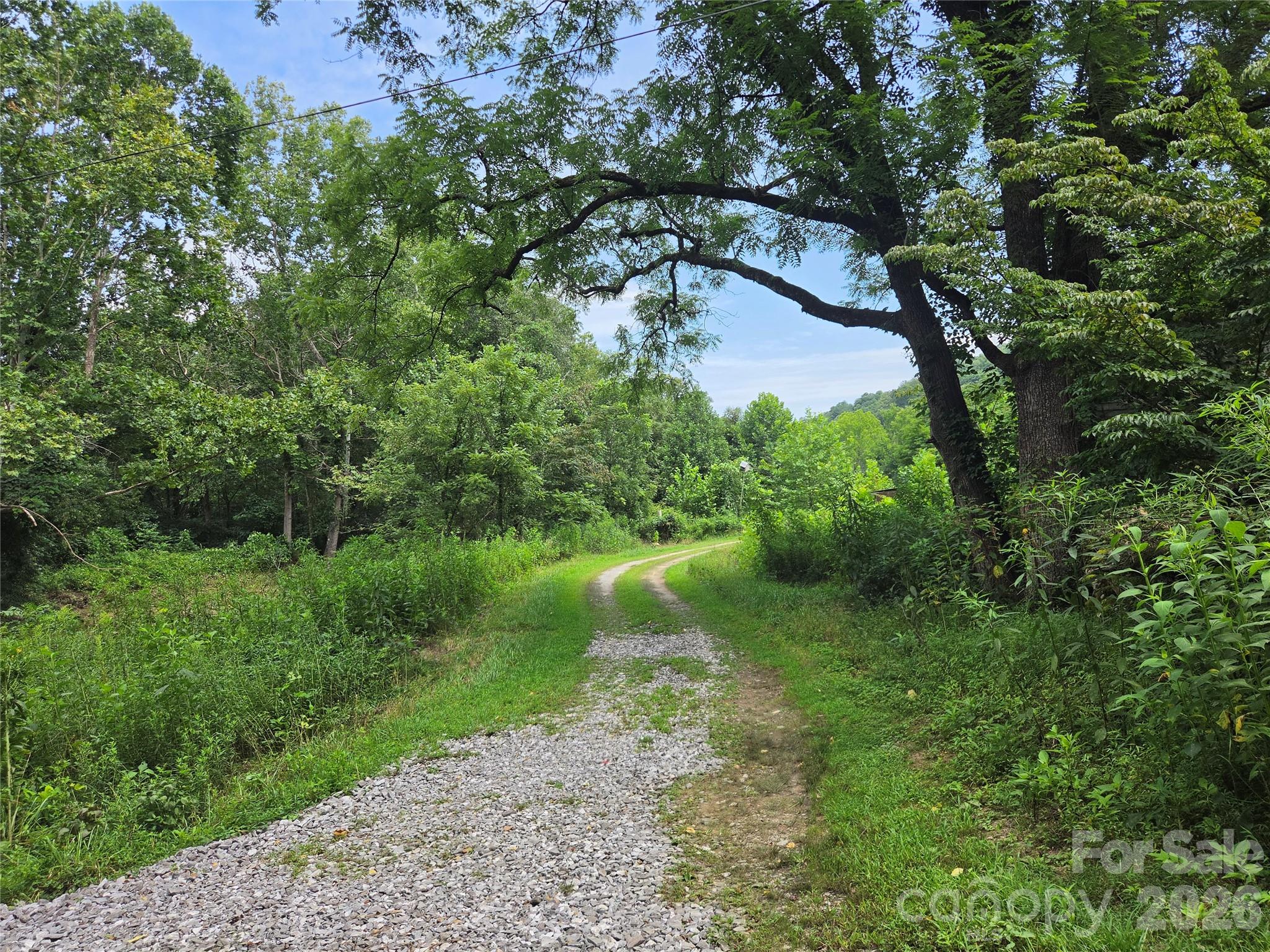 6059 Mt Zion Road Ferguson, NC 28624 - Photo 2 of 37 Gallery Image 2