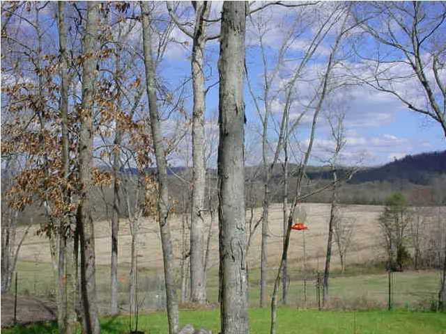 180 Parks Mill Road Conasauga, TN 37362 - Photo 7 of 9 Additional Photo