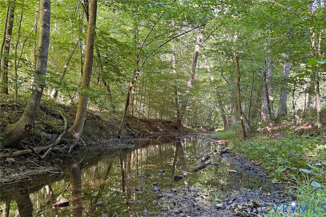 13300 West Patrick Henry Road Doswell, VA 23047 - Photo 58 of 69 Wooded property featuring a spring-fed creek