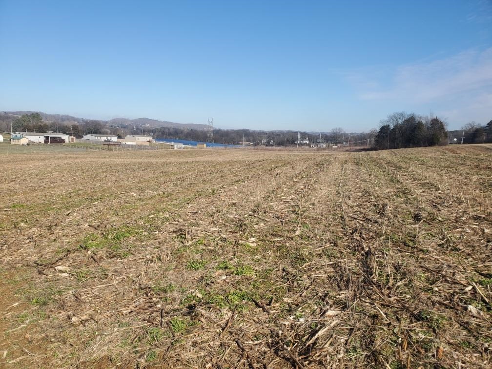 73 Lowery Loop Road New Market, TN 37820 - Photo 2 of 6 Gallery Image 2
