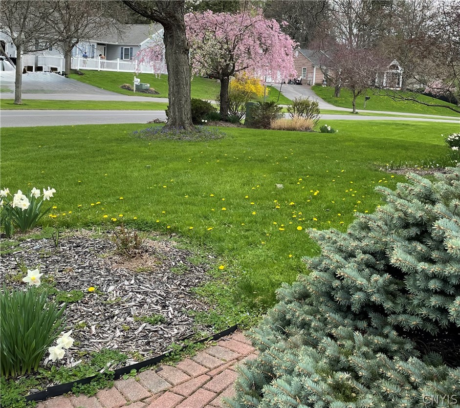 104 Old Lyme Road DeWitt, NY 13224 - Photo 33 of 34 Just around the corner... spring flowers will be p