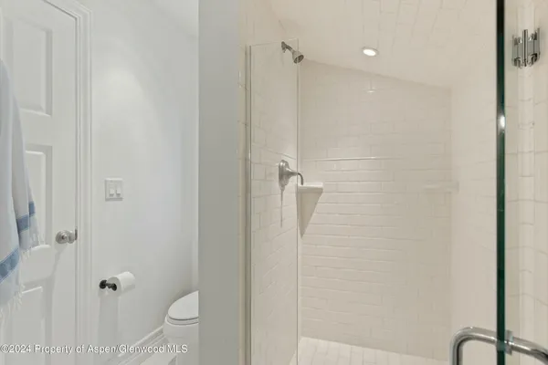 a bathroom with a shower and a toilet