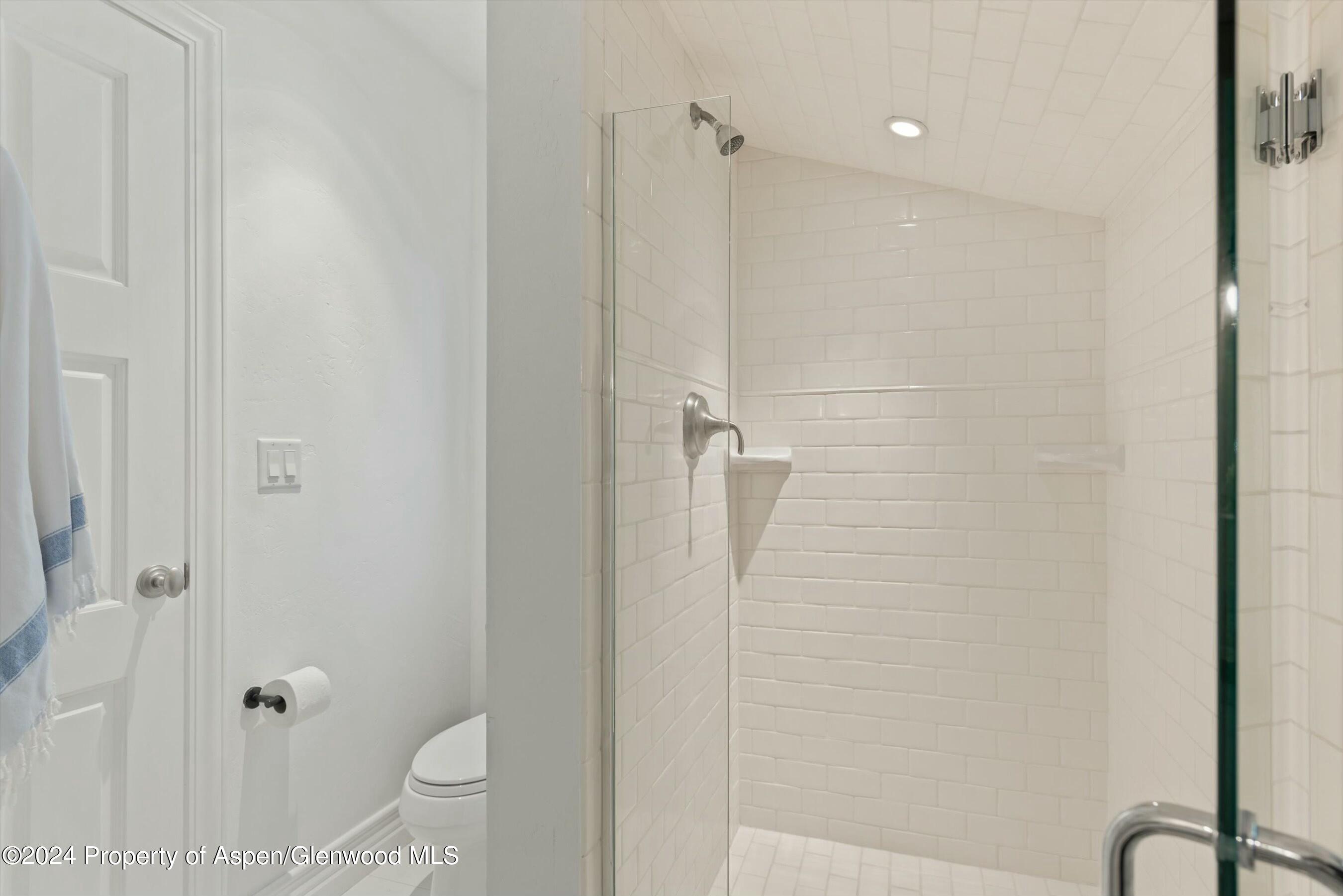 120 East Sopris Drive Basalt, CO 81621 - Photo 25 of 30 a bathroom with a shower and a toilet