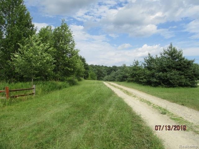 0 Tipsico Lake Road Fenton, MI 48430 - Photo 3 of 6