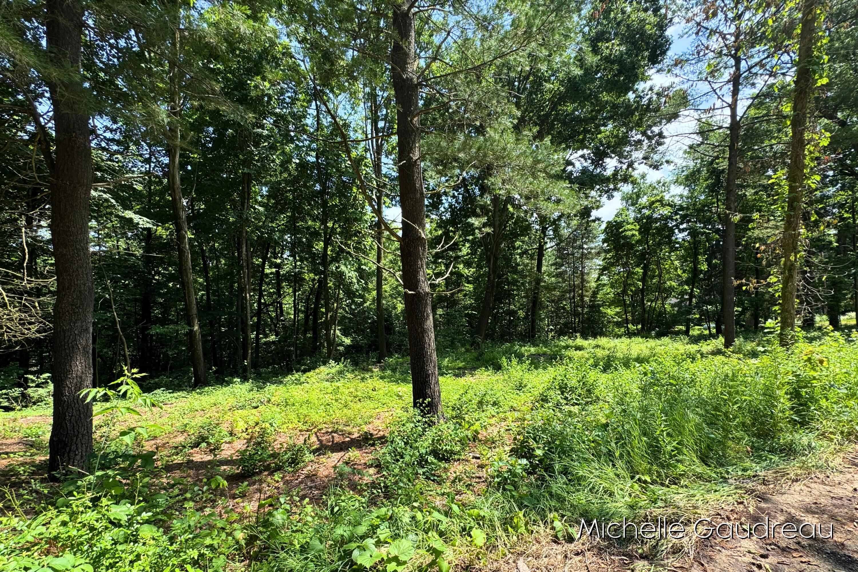 Vl West Irving Road Hastings, MI 49058 - Photo 2 of 9 2
