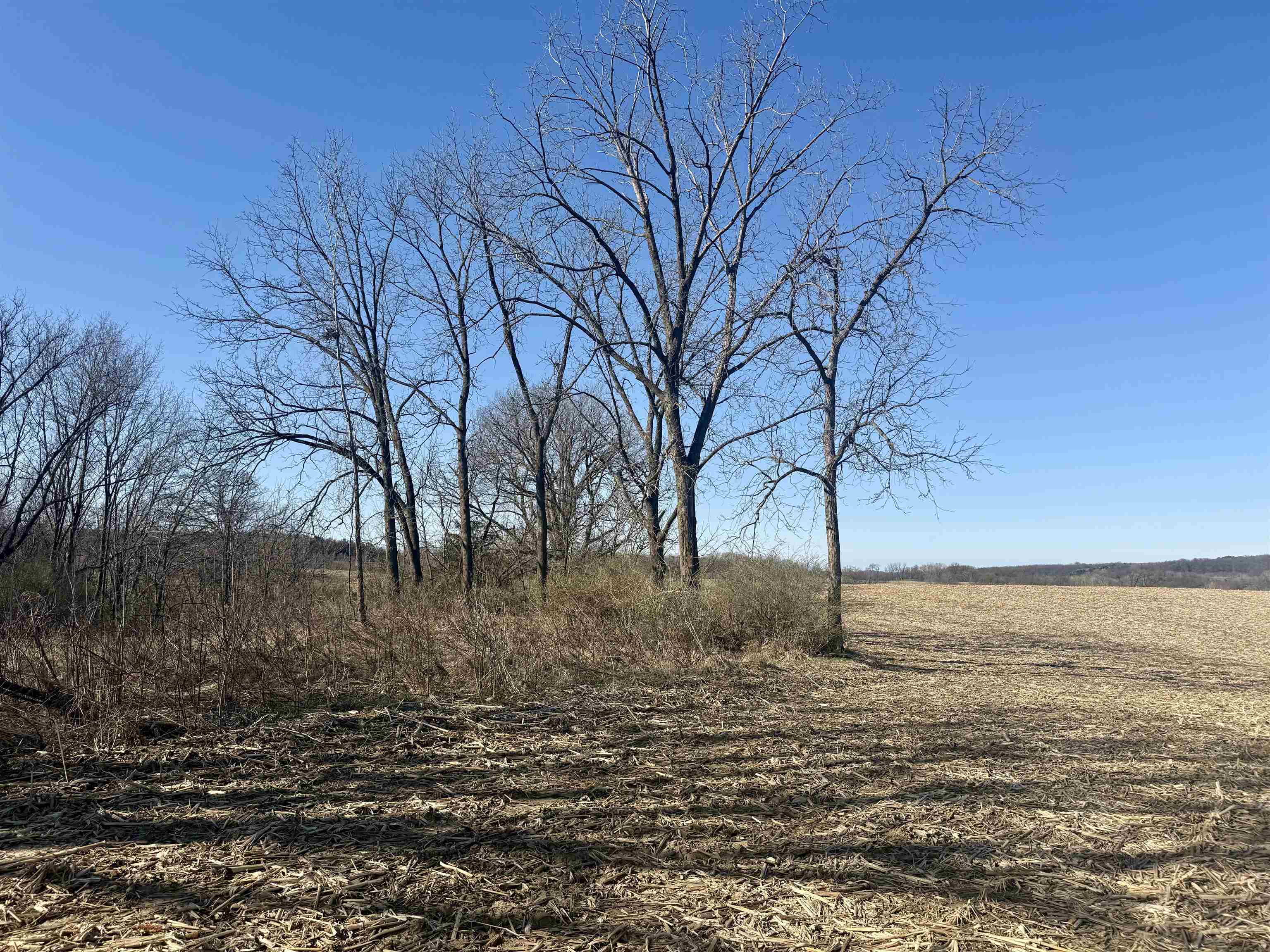229.98-acres Whitcomb Lane Lancaster, WI 53813 - Photo 46 of 57