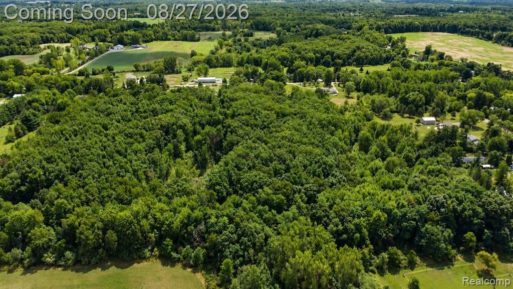 5438 West Ray Road Linden, MI 48451 - Photo 30 of 37 Gallery Image 30
