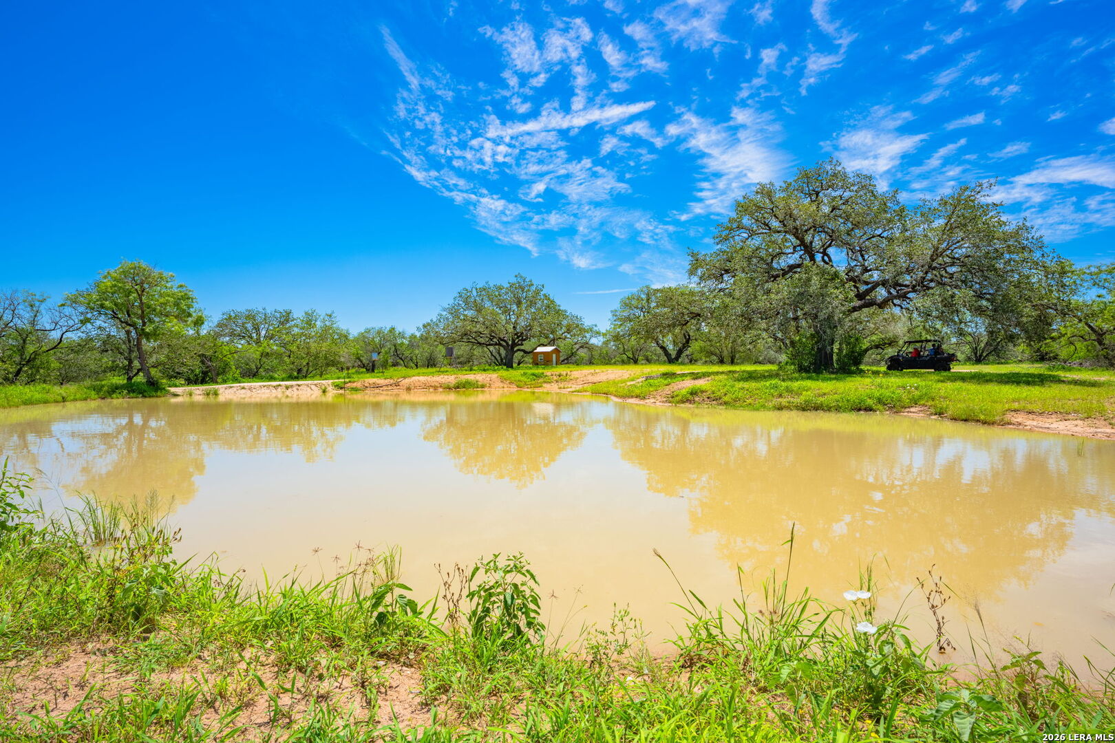 3355 Jim Brite Road Pleasanton, TX 78064 - Photo 3 of 50