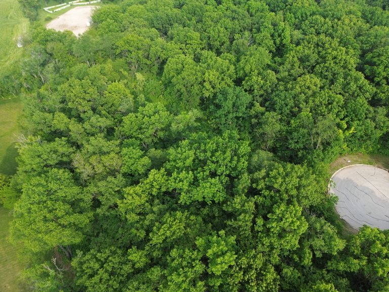 7106 Forest Oak Drive McHenry, IL 60050 - Photo 11 of 14 a view of a garden with a tree